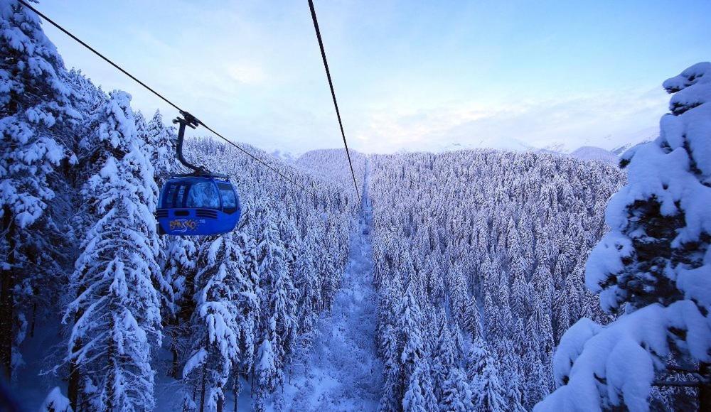 Green Life Bansko, 1 Bedroom Private Apartment D4 מראה חיצוני תמונה